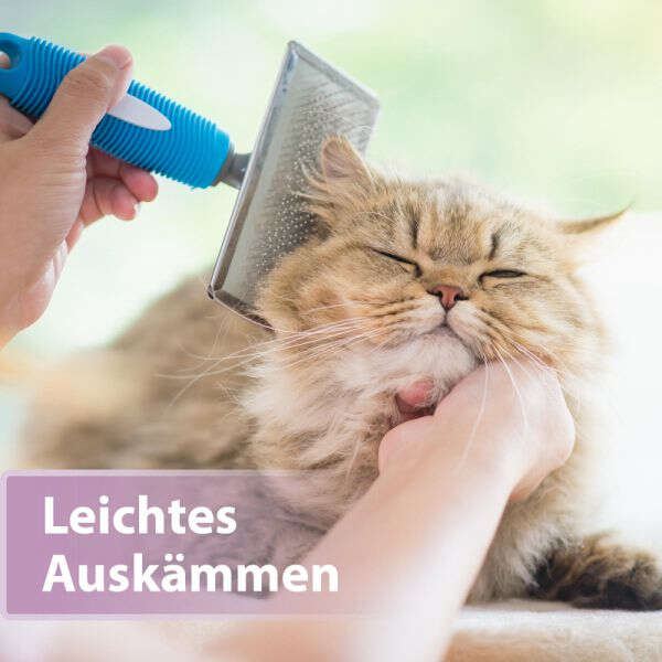 Felisept Fellpflegespray für Katzen